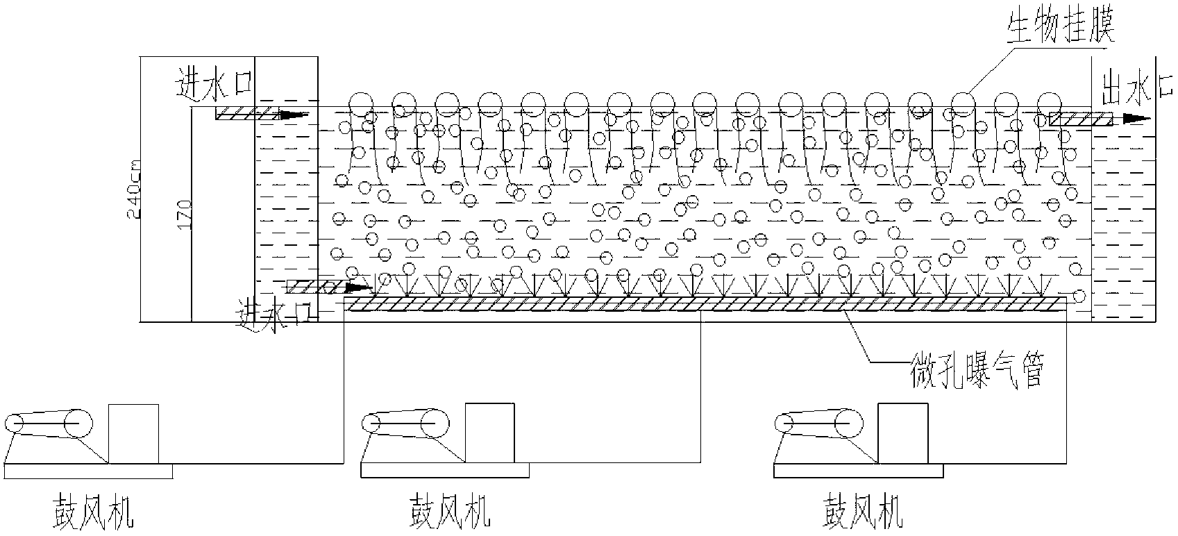 Compound constructed wetland tail water treatment system