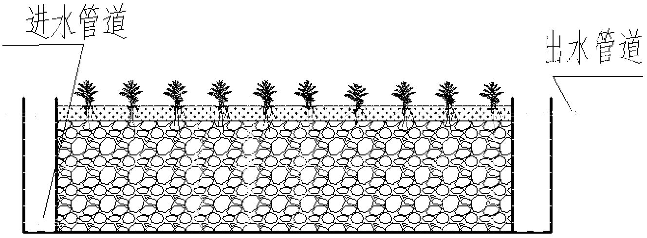 Compound constructed wetland tail water treatment system