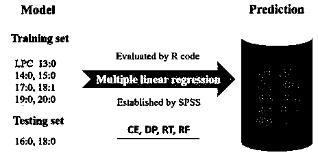 Target lipidomics method based on modelling-predicting strategy