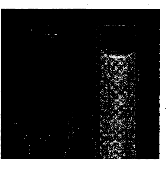 Method for developing latent fingerprints by adopting nano zinc oxide