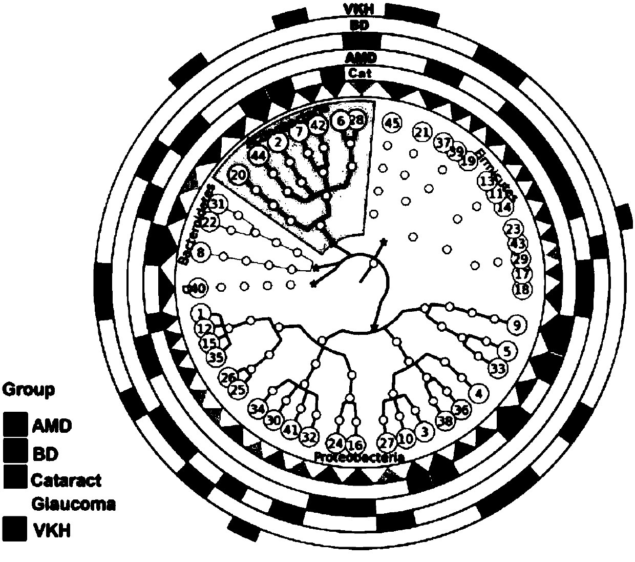 Detection and treatment method of age-related macular degeneration