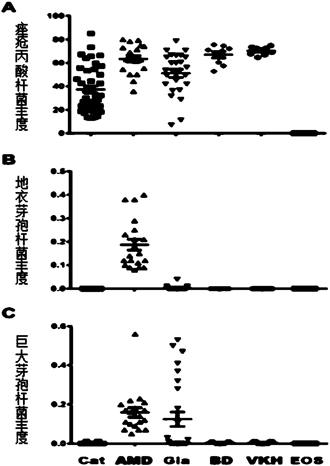 Detection and treatment method of age-related macular degeneration