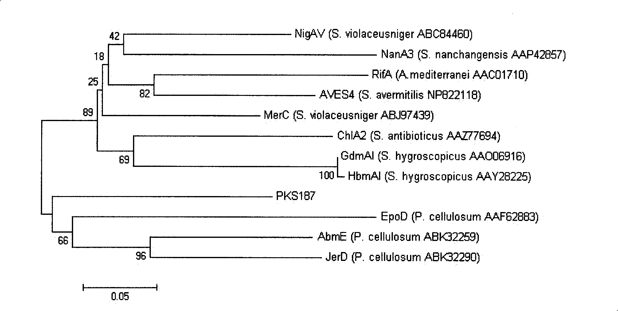 Marine streptomyces S187 having wide-spectrum antibacterial activity