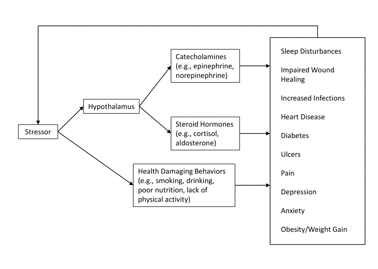 Stress reduction and sleep promotion system