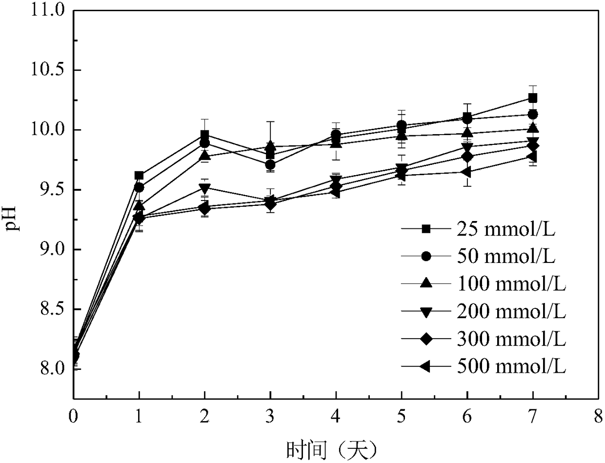 Dunaliella culture medium utilizing sodium hydrogen carbonate as carbon source and application thereof