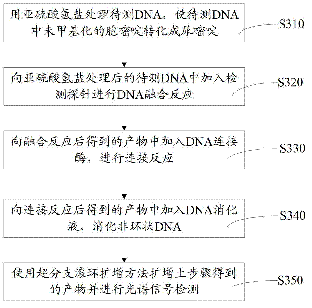 DNA methylation detection probe, and detection method and detection kit thereof