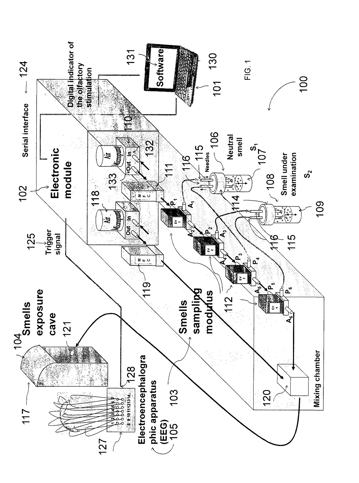 Method and system for measuring physiological parameters of a subject undergoing an olfactory stmulation