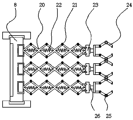 Soft robot having transport function for material transport