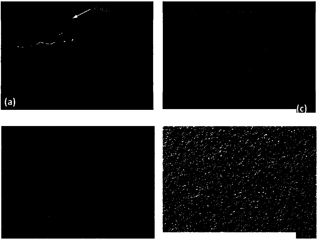 Plasma etching reactor