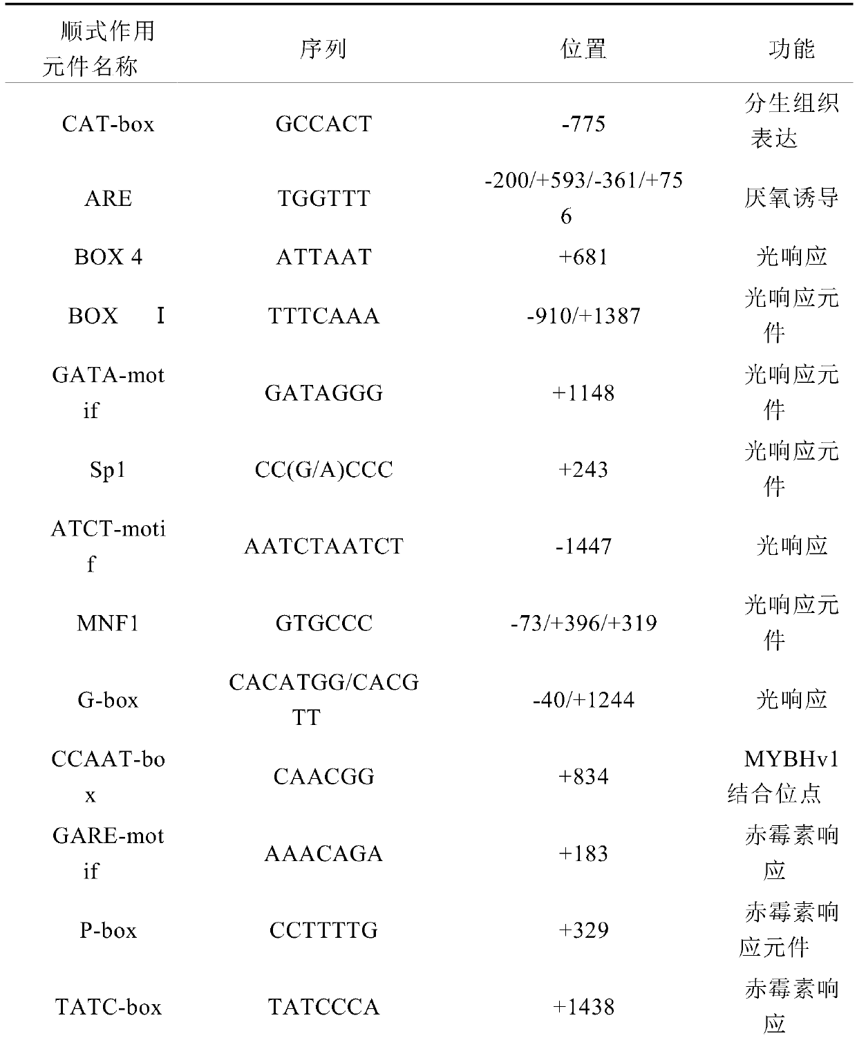 Glandular hairs of Artemisia annua dominantly express aatcp14 gene promoter and its obtaining method and application