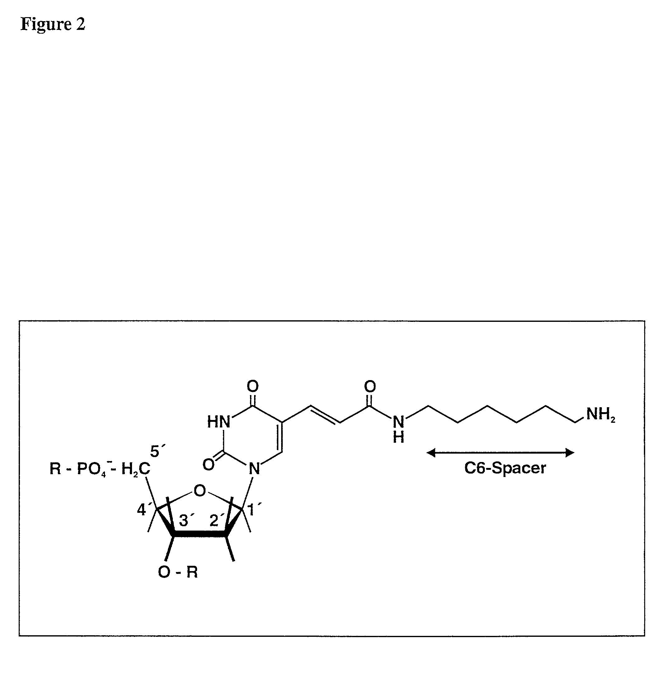 Chimerical peptide-nucleic acid fragment, process for producing the same and its for appropriately introducing nucleic acids into cell organelles and cells