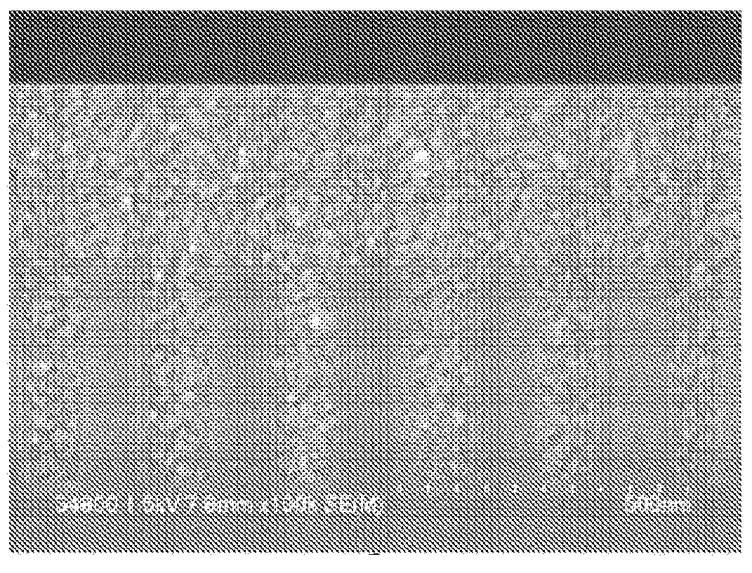 Resist underlayer film-forming composition which contains phenylindole-containing novolac resin