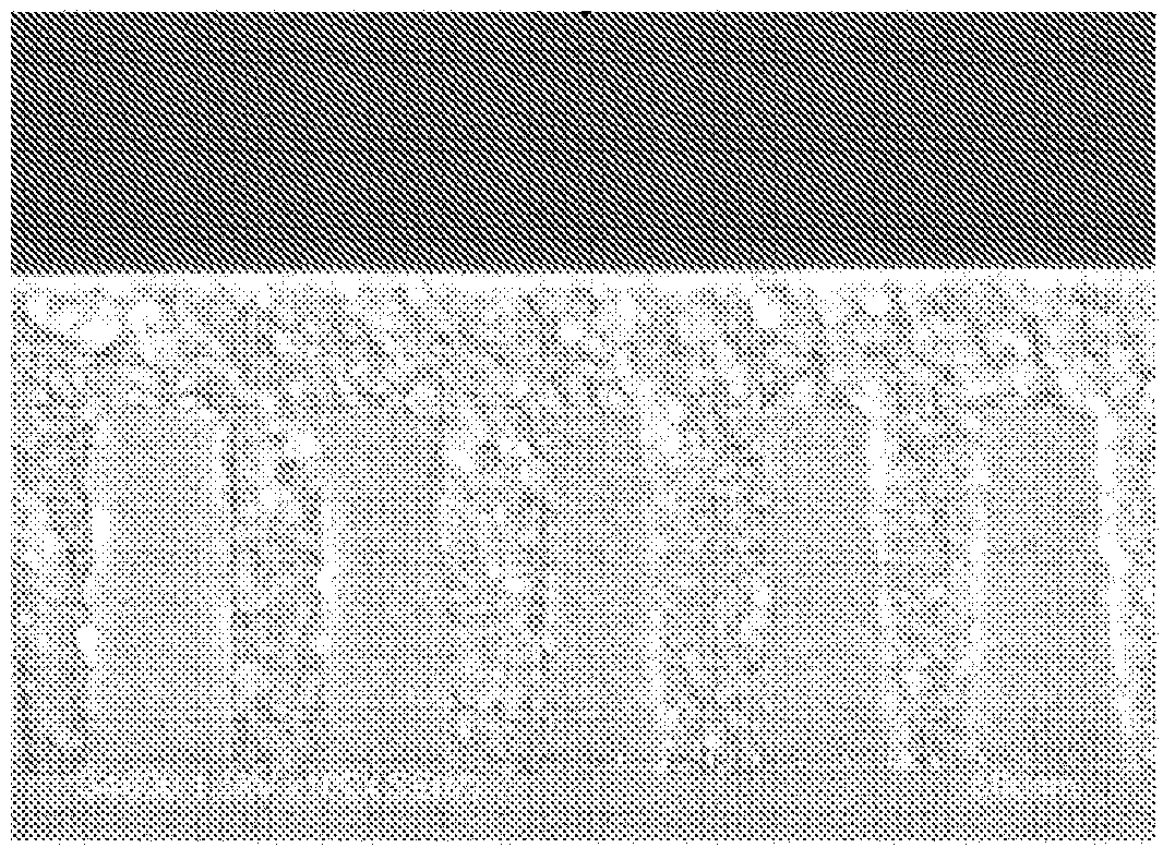 Resist underlayer film-forming composition which contains phenylindole-containing novolac resin