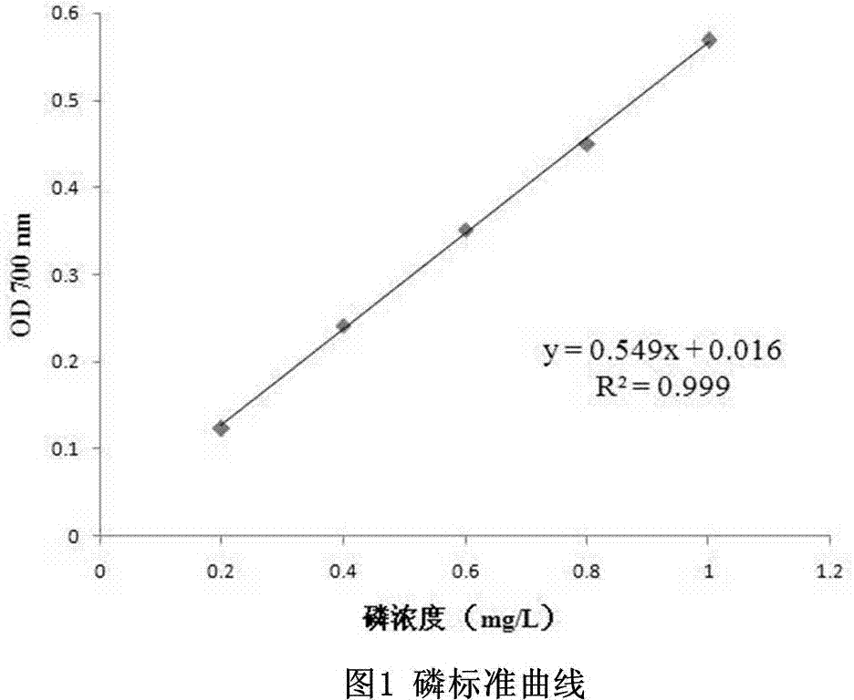 Bacillus and application thereof