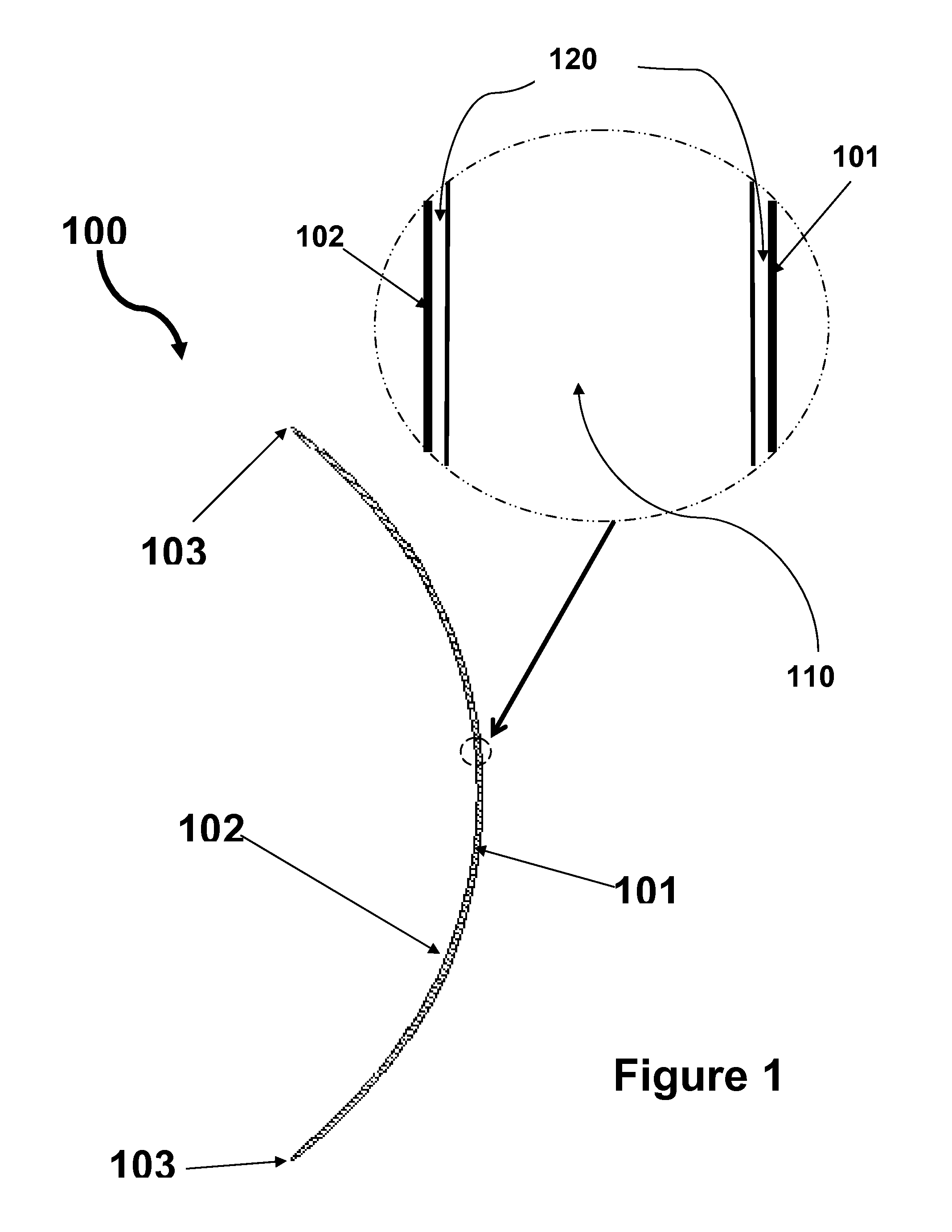 Silicone hydrogel lenses with water-rich surfaces