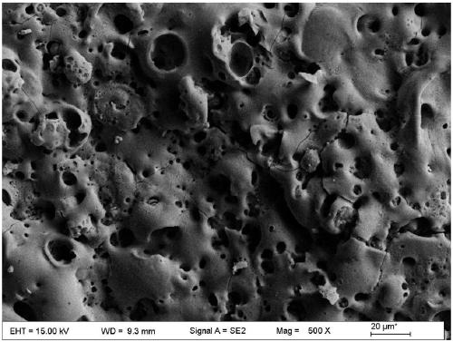 A method for preparing titanium alloy biomimetic coating by combining laser and anodic oxidation