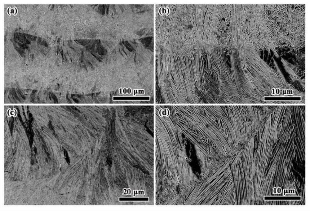 Method for preparing high-toughness eutectic high-entropy alloy based on selective laser melting technology