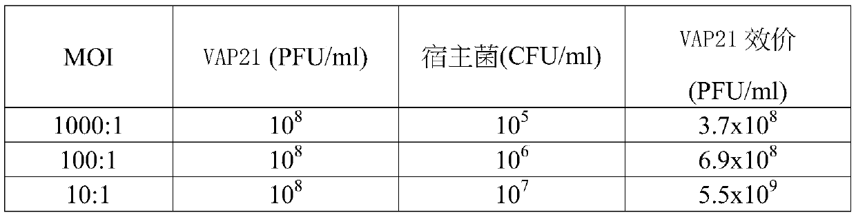 Alkali-resistant vibrio alginolyticus phage and composition thereof and kit, and application thereof