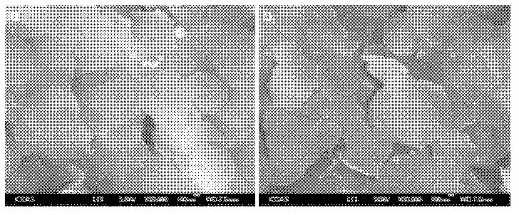 Organic polymer-silica nanocomposite material and its preparation method