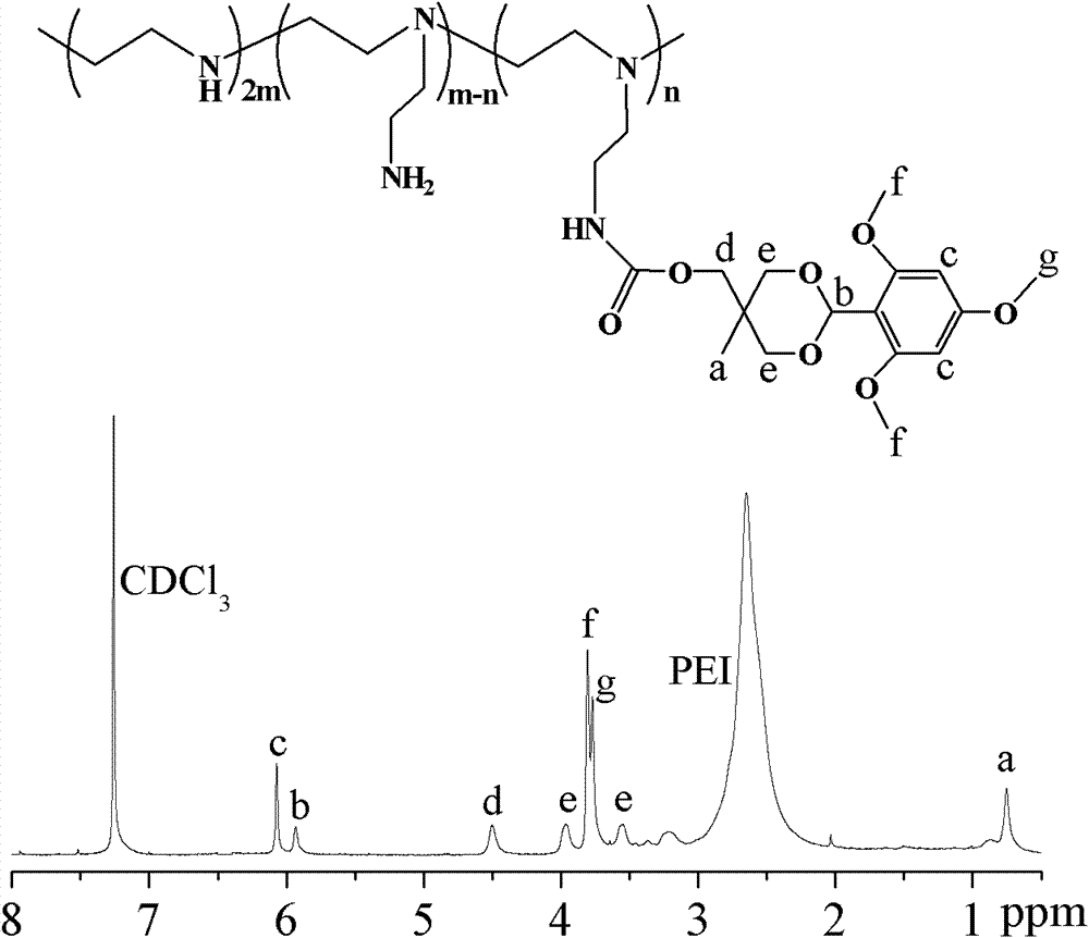 Hydrophobic-group-modified polyethyleneimine derivative and application thereof