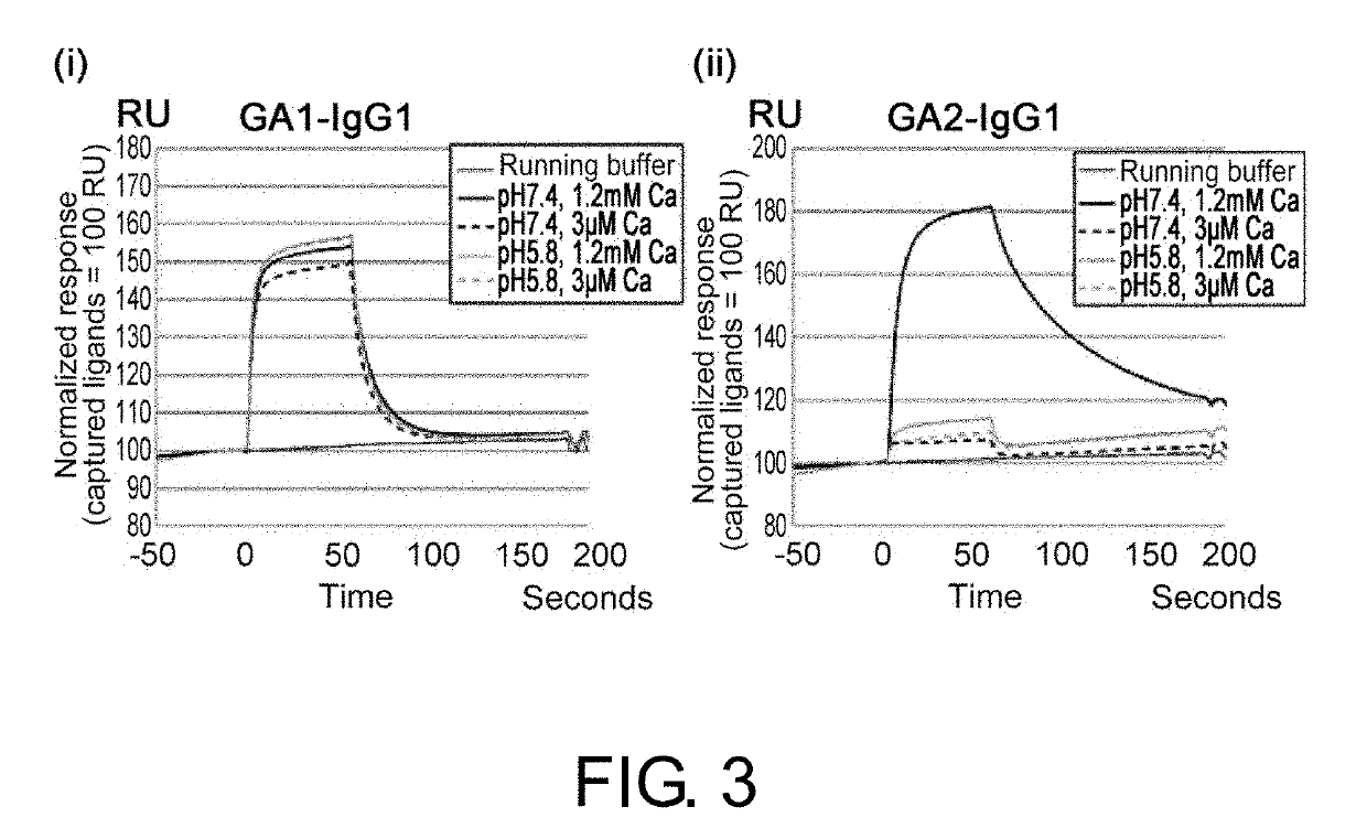 Drug containing carrier into cell for forming immune complex