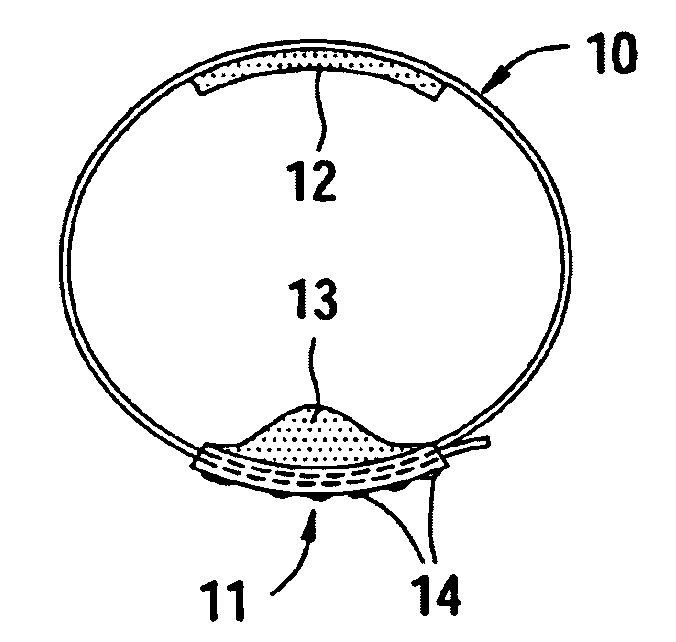 Belt for body weight control