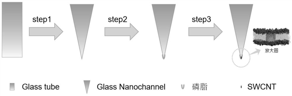 Preparation of Composite Glass Nanopores and Its Application to Biomolecular Detection