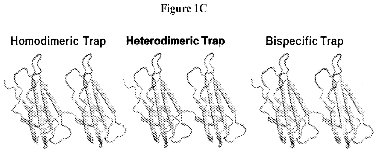 Methods and Compositions for Reducing Metastases