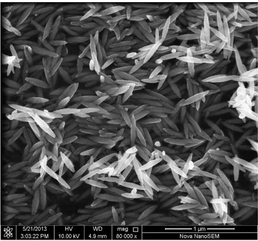 Rod-shaped nano iron oxide electrode material, and preparation method and application thereof