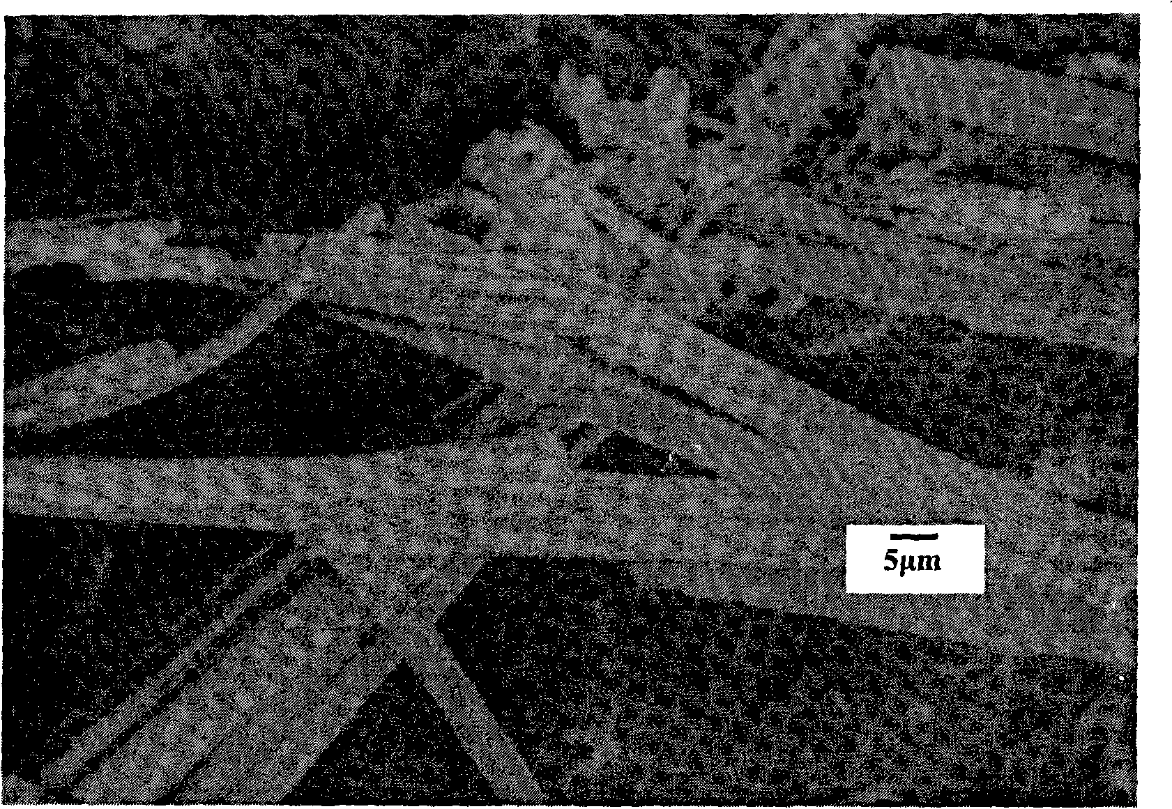 Carbon nano-tube fiber cement-based material and preparation thereof