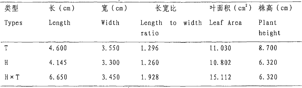 Method for hybridizing pinellia tuber and propagating F1