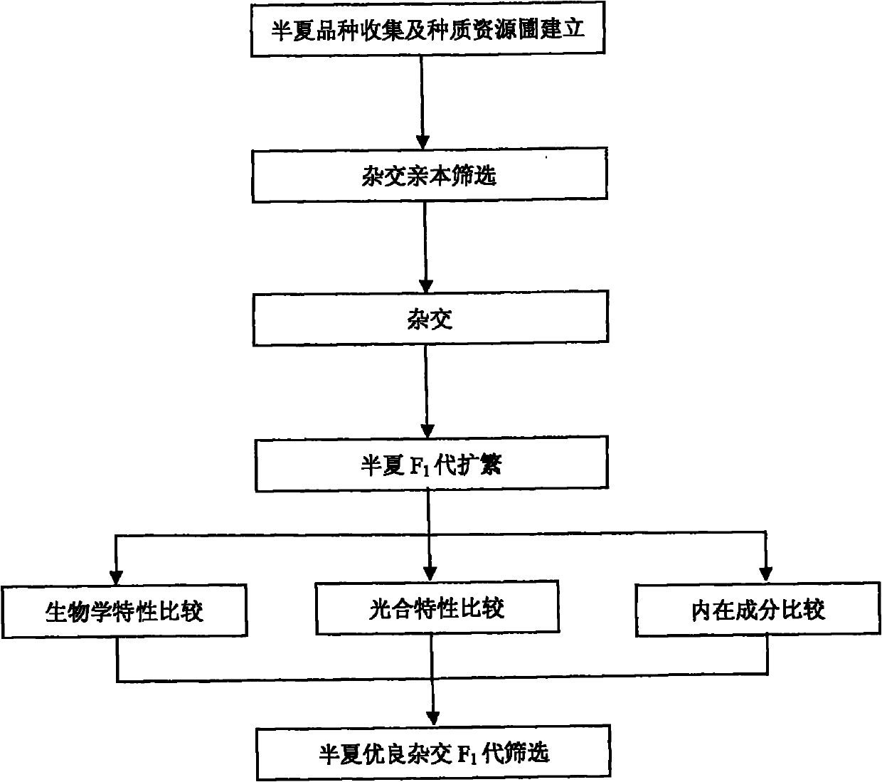 Method for hybridizing pinellia tuber and propagating F1