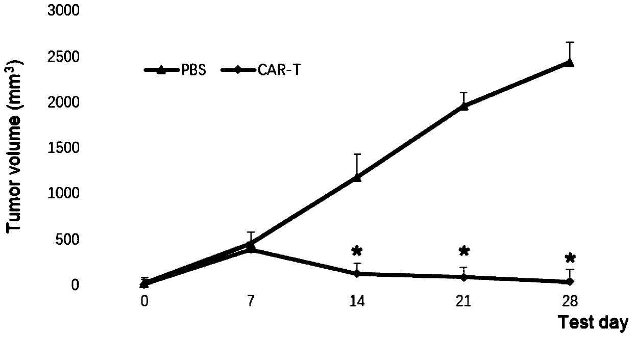 Chimeric antigen receptors targeting CEA