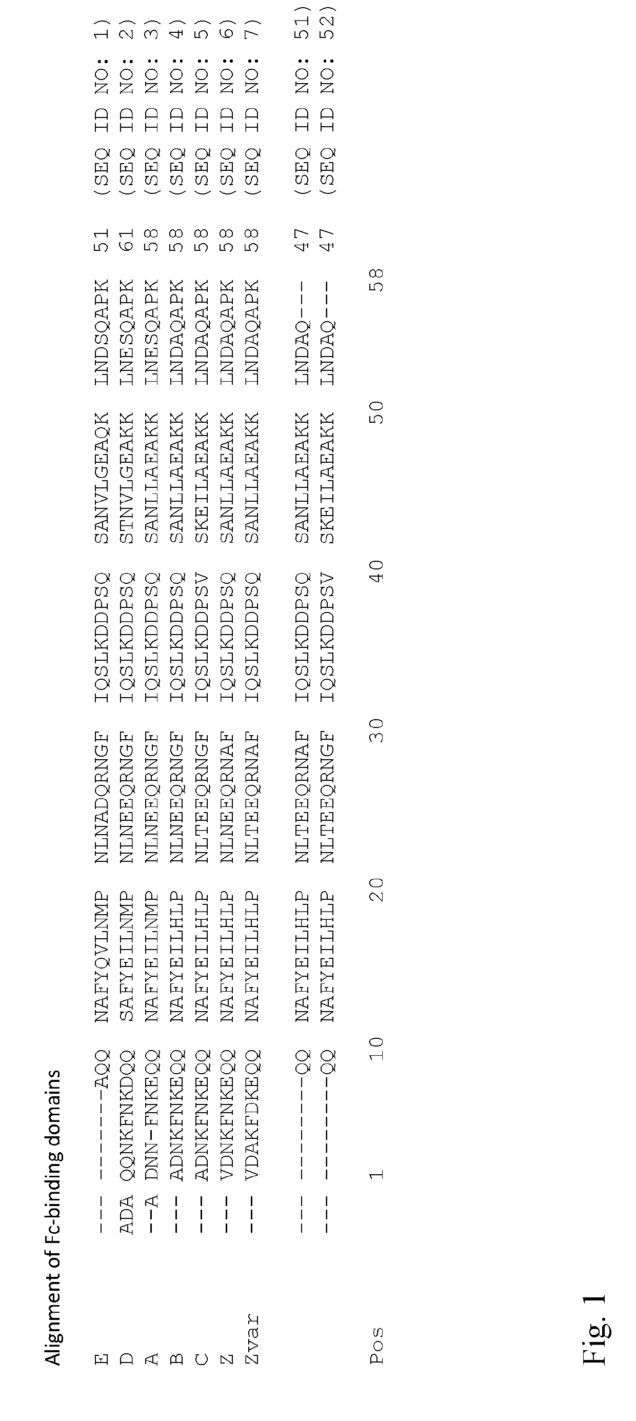 Separation Matrix