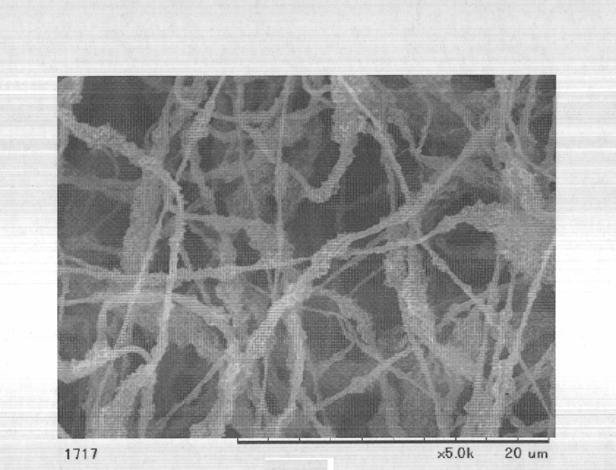 Water control sheet, gas diffusion sheet, membrane-electrode assembly and polymer electrolyte fuel cell