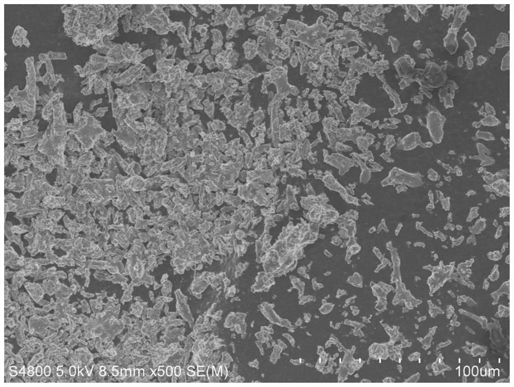 Silicon disulfide and preparation method thereof