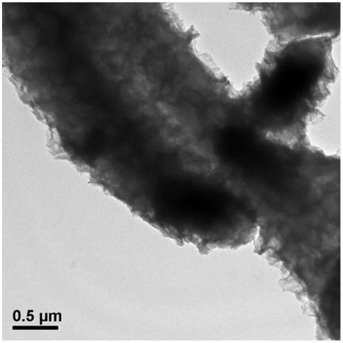 Paracetamol adsorption material in pharmaceutical industry wastewater, preparation and application thereof