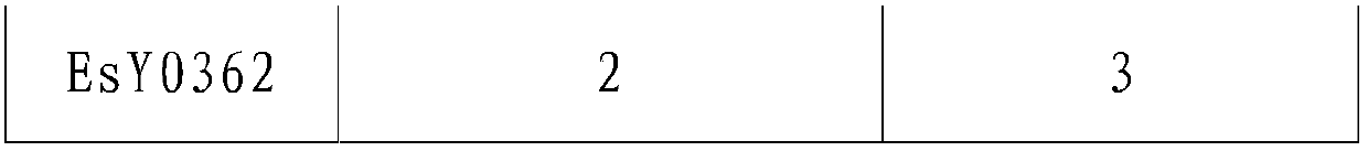 Novel tumor tissue preserving fluid and application thereof