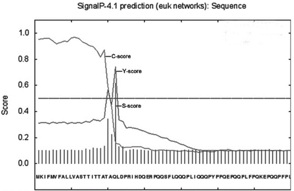 Preparation method of polyclonal antibody of wheat gliadin TaWG05