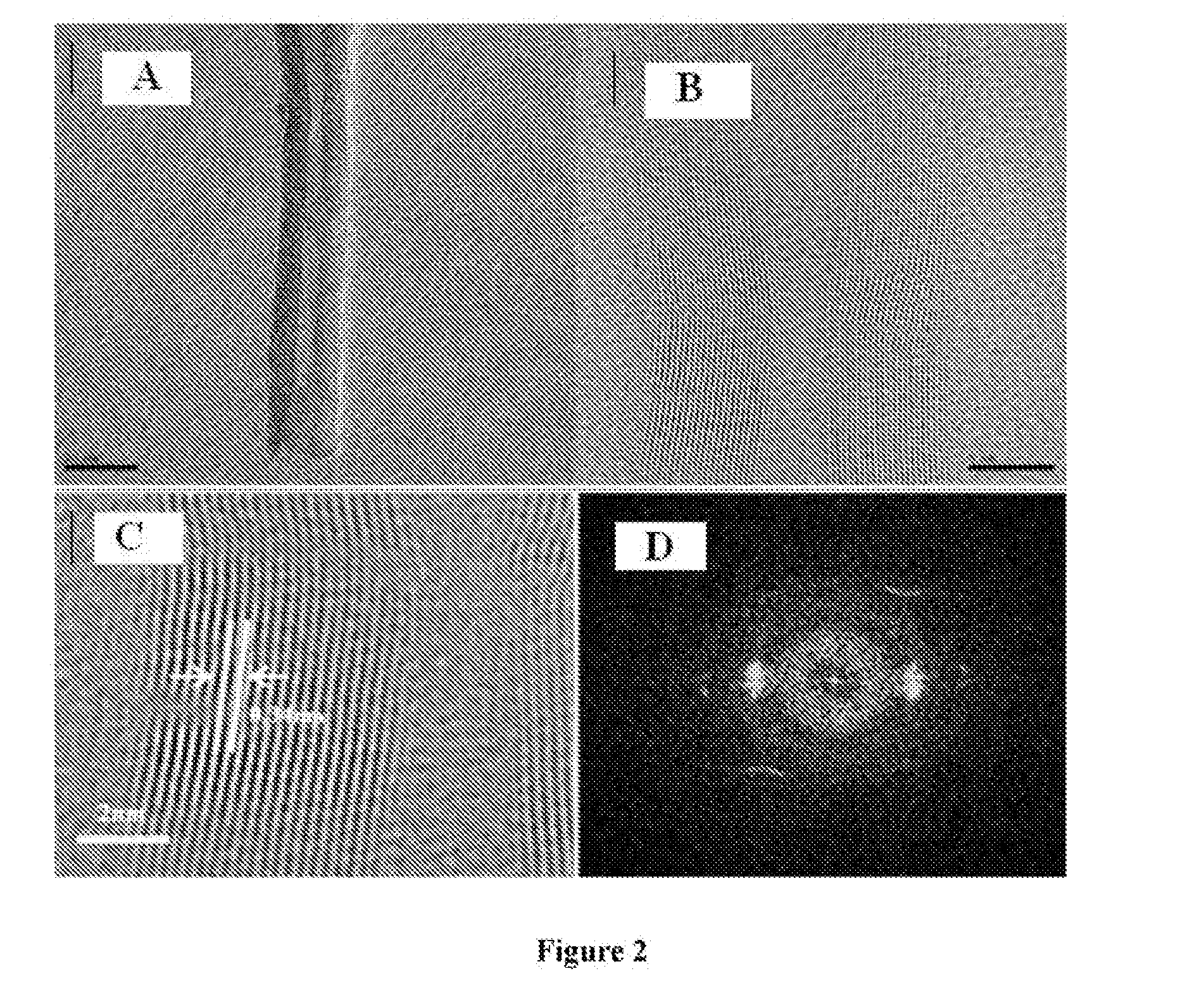 A production method for the boron nitride nanotubes