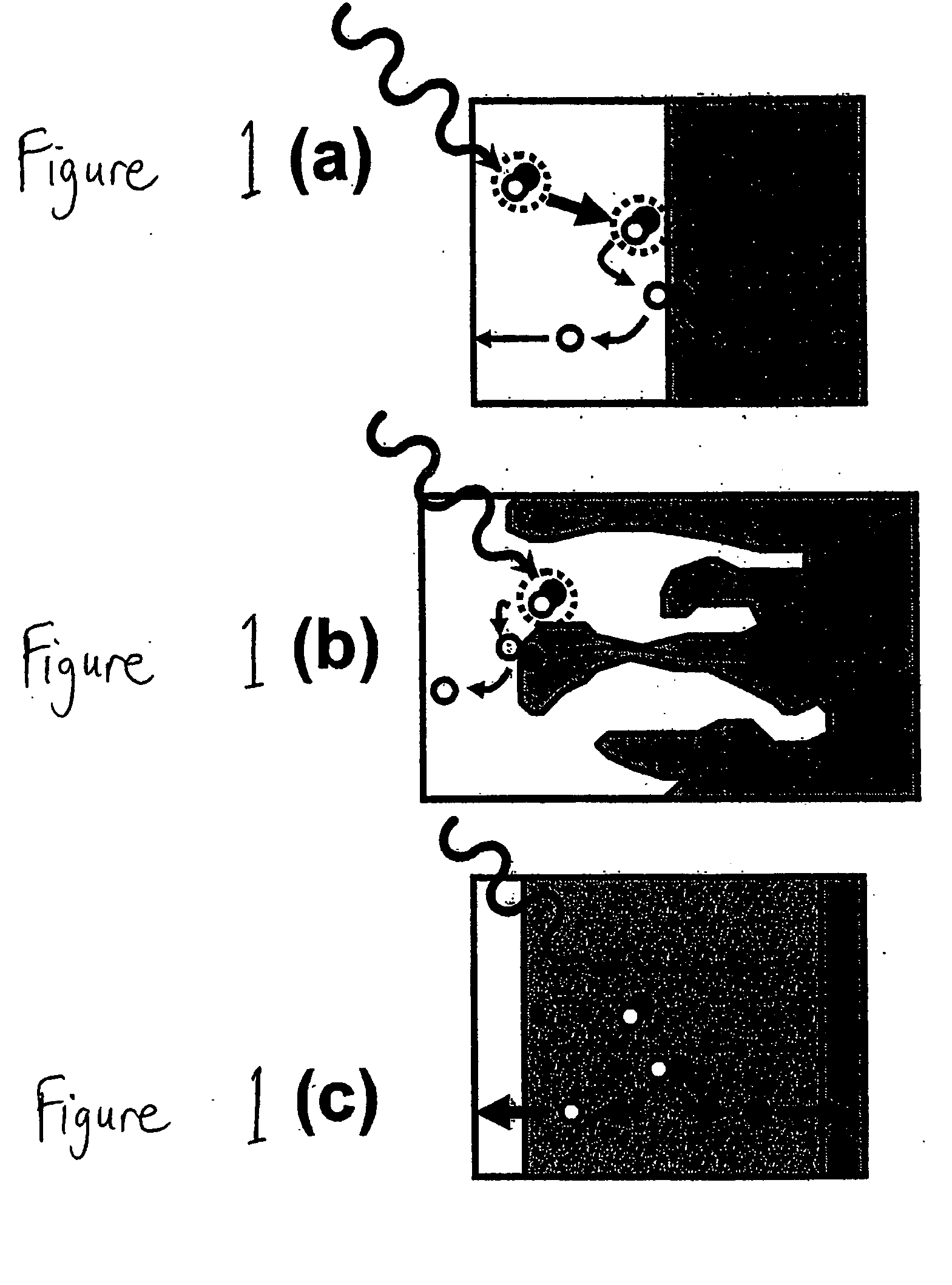 Method of fabricating an optoelectronic device having a bulk heterojunction