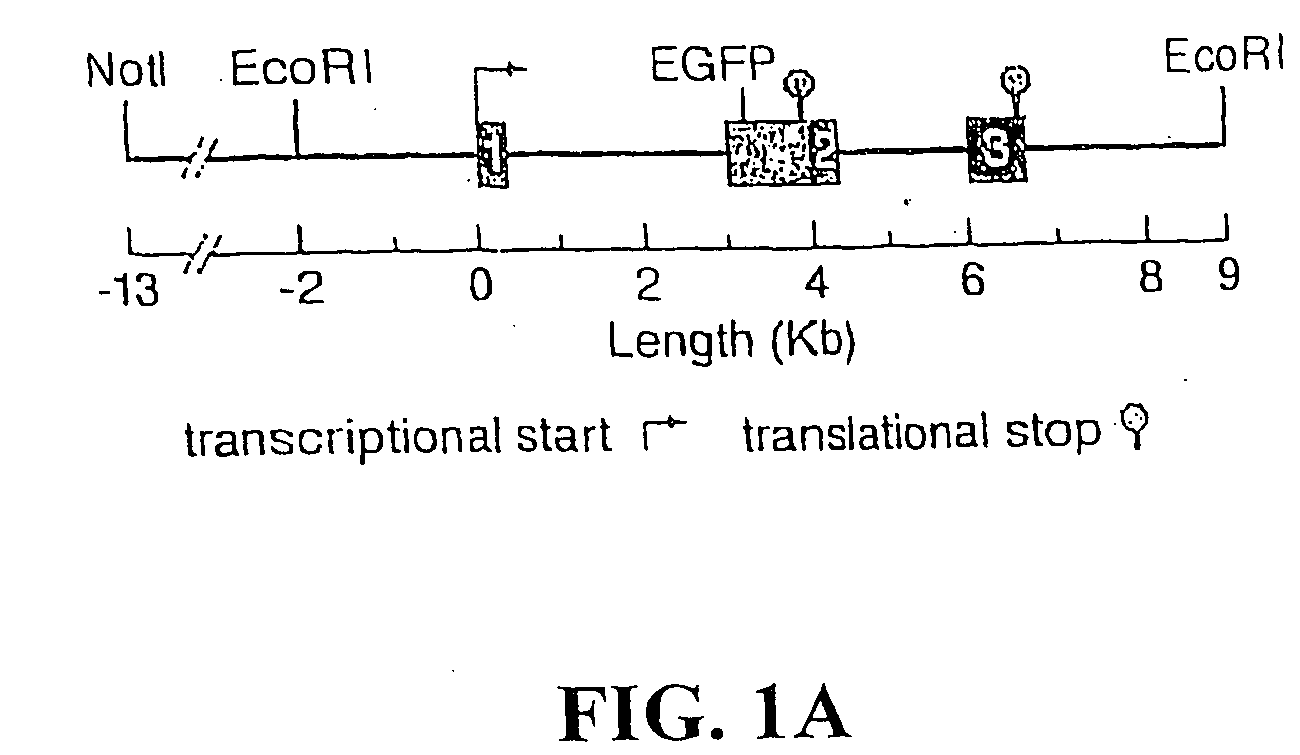 Modification of feeding behavior