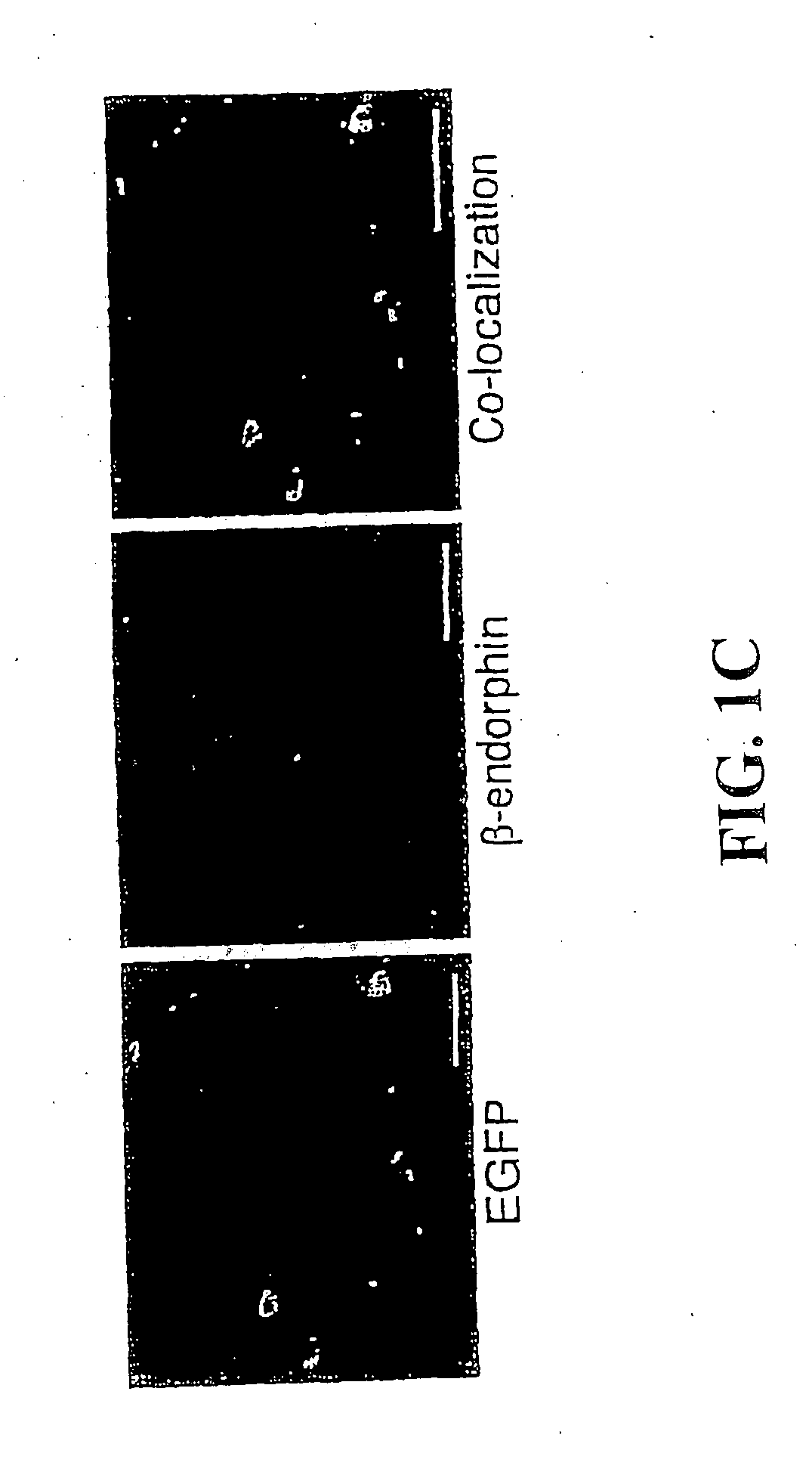 Modification of feeding behavior