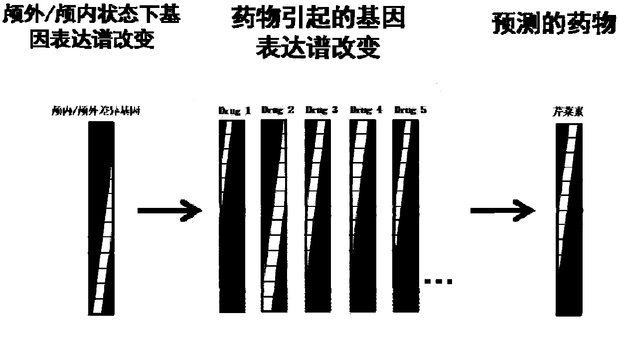 Application of apigenin in preparation of medicine for preventing and treating hemorrhagic cerebrovascular disease and ischemic cerebrovascular disease caused by high blood pressure