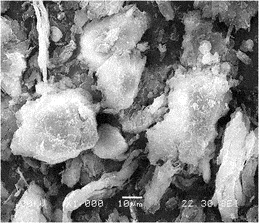 High-temperature biomass micron fuel