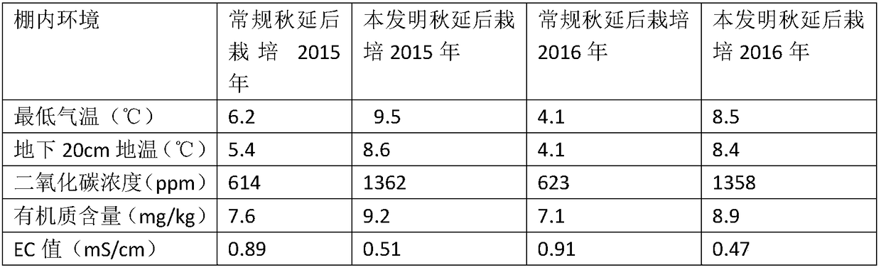 High-efficiency chili cultivation method after autumn