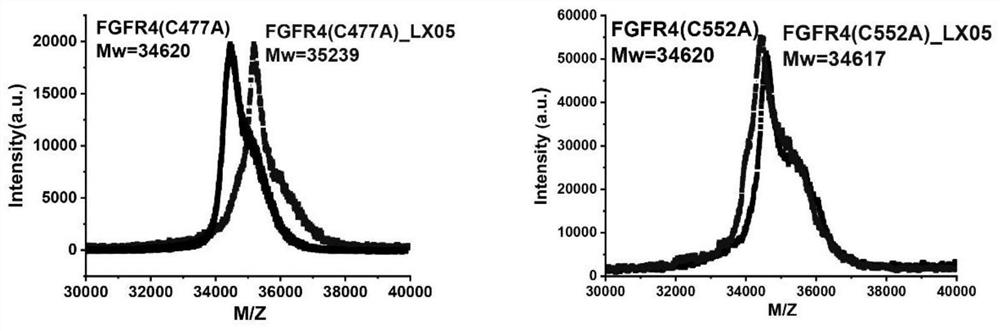 fgfr4 inhibitor, composition and use in pharmaceutical preparation