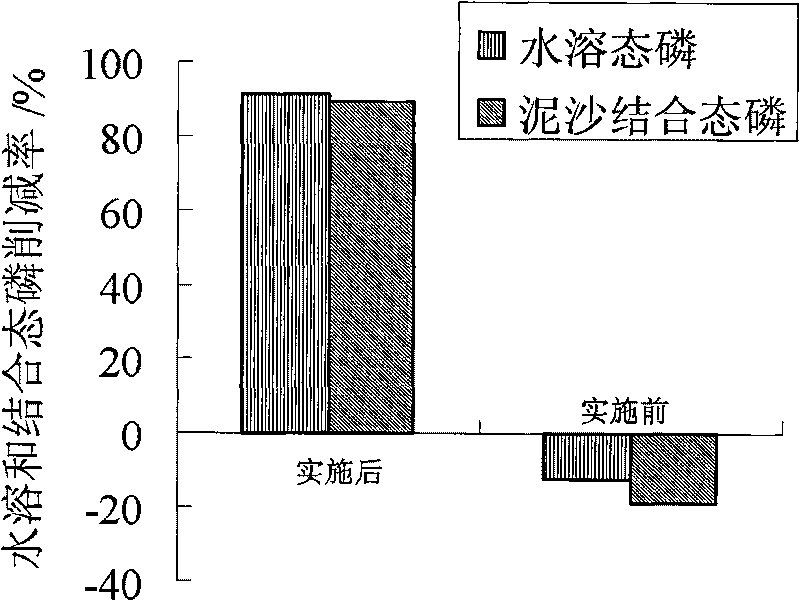 Building method combining centralized drinking water head site plane source pollution prevention and control in mountainous areas with drinking water engineering