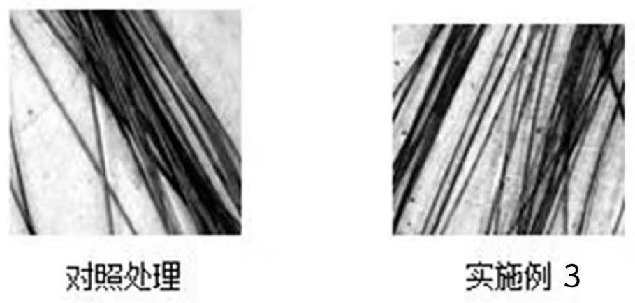 Preparation method and application of hair dyeing product containing melanin precursor prepared by biological fermentation