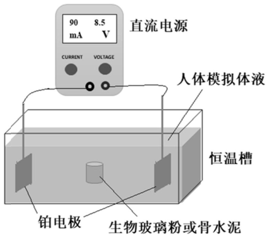 Bioglass composite bone cement and electric field treatment method